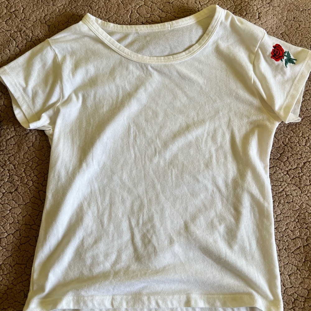 Brandy Melville crop top